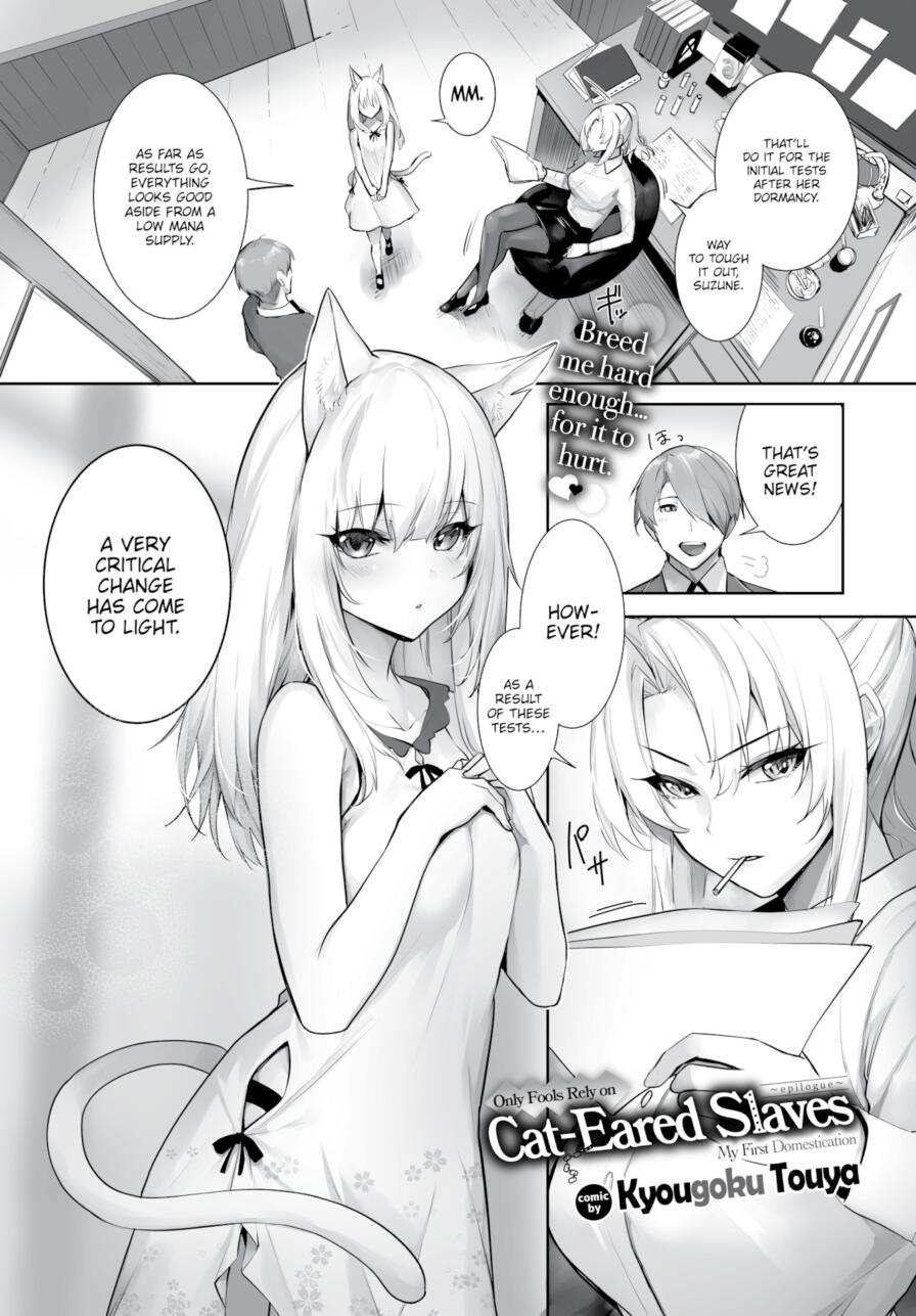 [Kyougoku Touya] Only Fools Rely on Cat-Eared Slaves - My First Domestication Epilogue (Comic Bavel 2026-05)