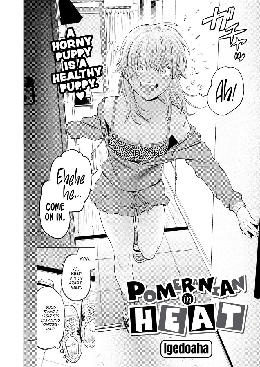 [Igedoaha] Pomeranian in Heat (Comic Kairakuten BEAST 2023-07)