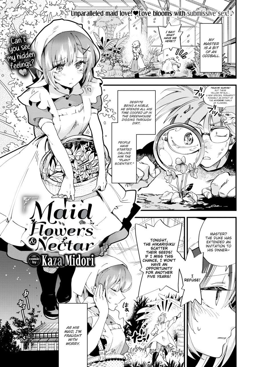 [Kaza Midori] Maid Flowers & Nectar (Comic Bavel 2024-04)