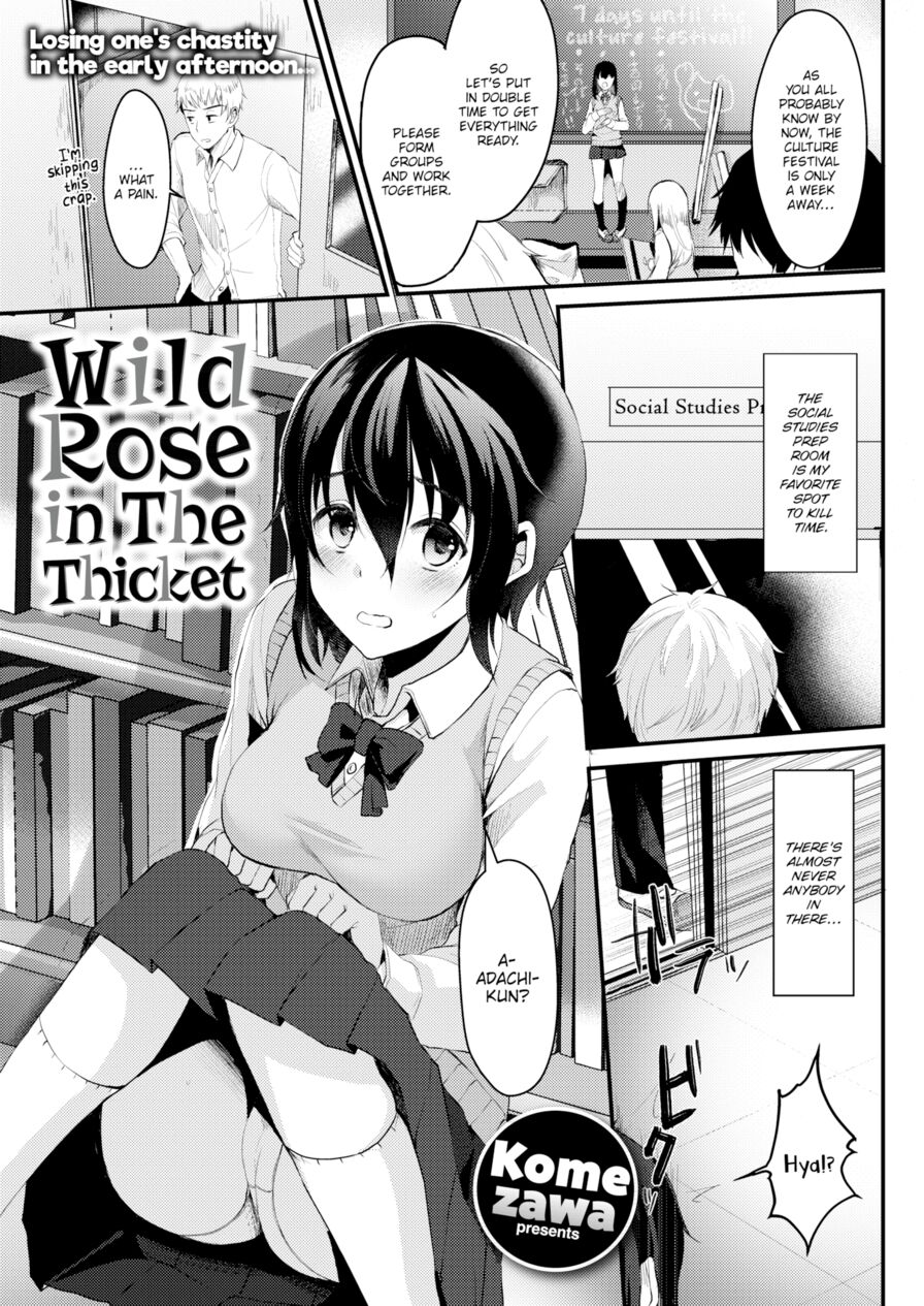 [Komezawa] Wild Rose in The Thicket (Comic Kairakuten 2019-04)