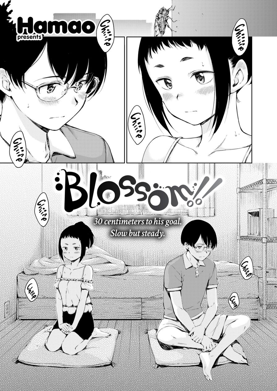 [Hamao] Blossom!! (Comic Kairakuten 2022-08)